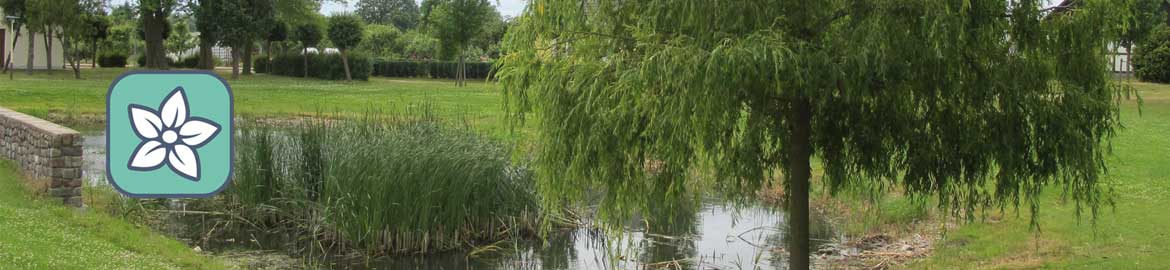 Int5a_slider_naturkultur Beispielbild